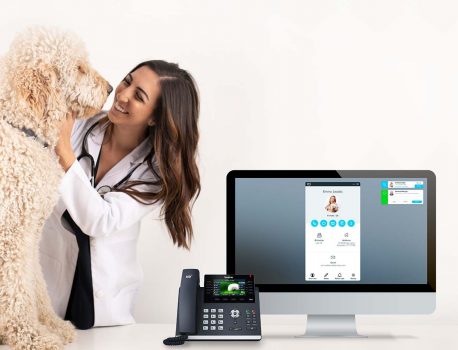 صفر تا صد راه اندازی سیستم تلفنی ویپ برای دامپزشکان